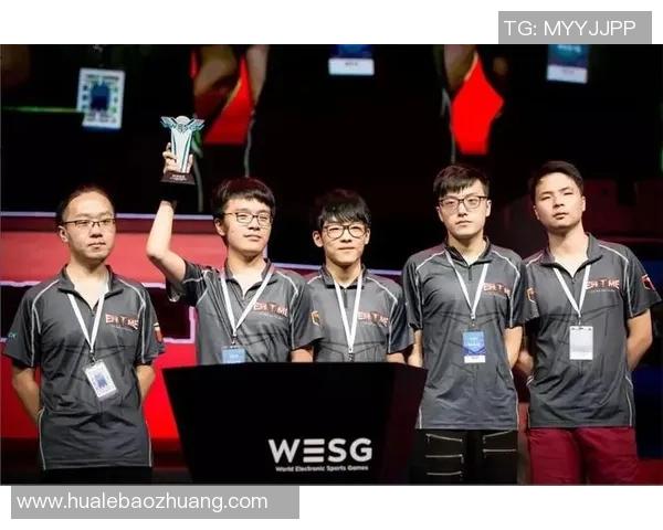 英雄联盟战队WE的成功之道与运营策略全解析