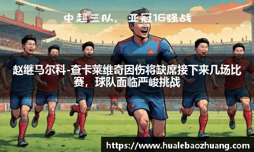 赵继马尔科-查卡莱维奇因伤将缺席接下来几场比赛，球队面临严峻挑战