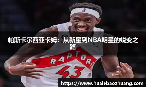 彩神官网